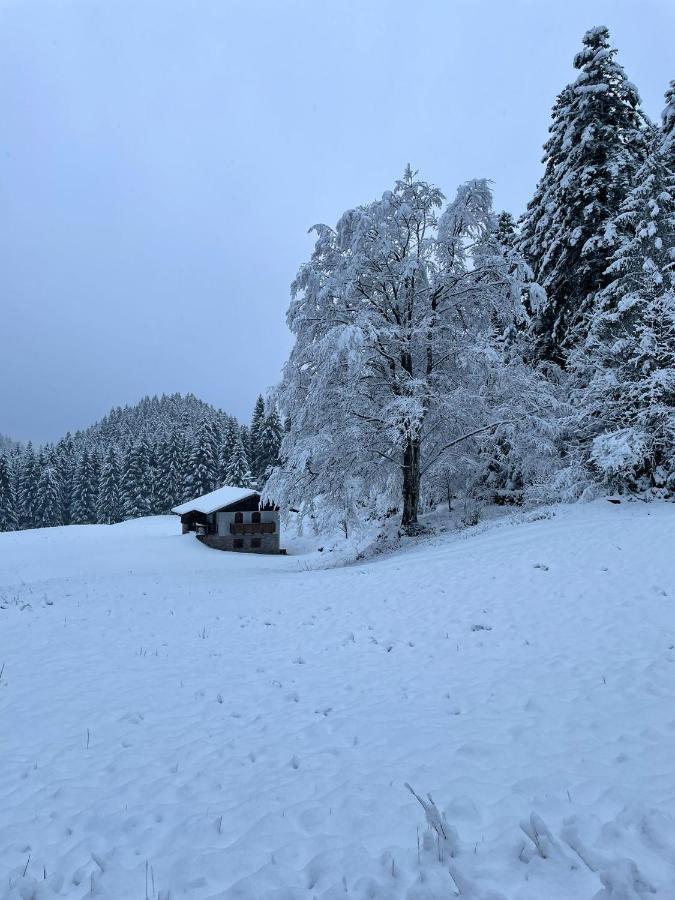 Chalet Relax Molveno E Andalo Dolomiti Villa Екстериор снимка