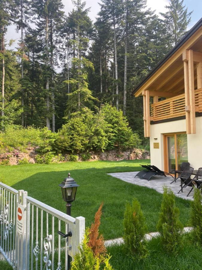 Chalet Relax Molveno E Andalo Dolomiti Villa Екстериор снимка