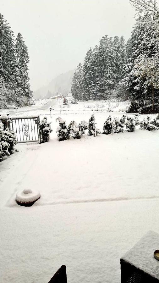 Chalet Relax Molveno E Andalo Dolomiti Villa Екстериор снимка