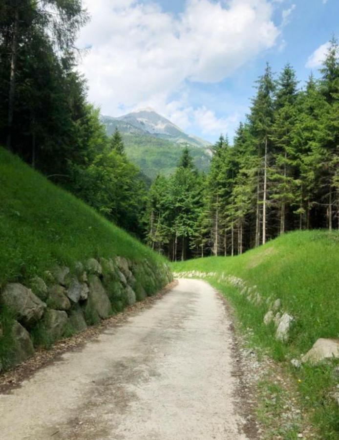 Chalet Relax Molveno E Andalo Dolomiti Villa Екстериор снимка