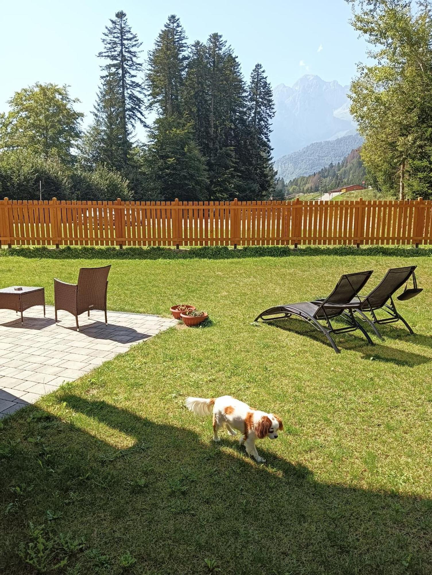 Chalet Relax Molveno E Andalo Dolomiti Villa Екстериор снимка