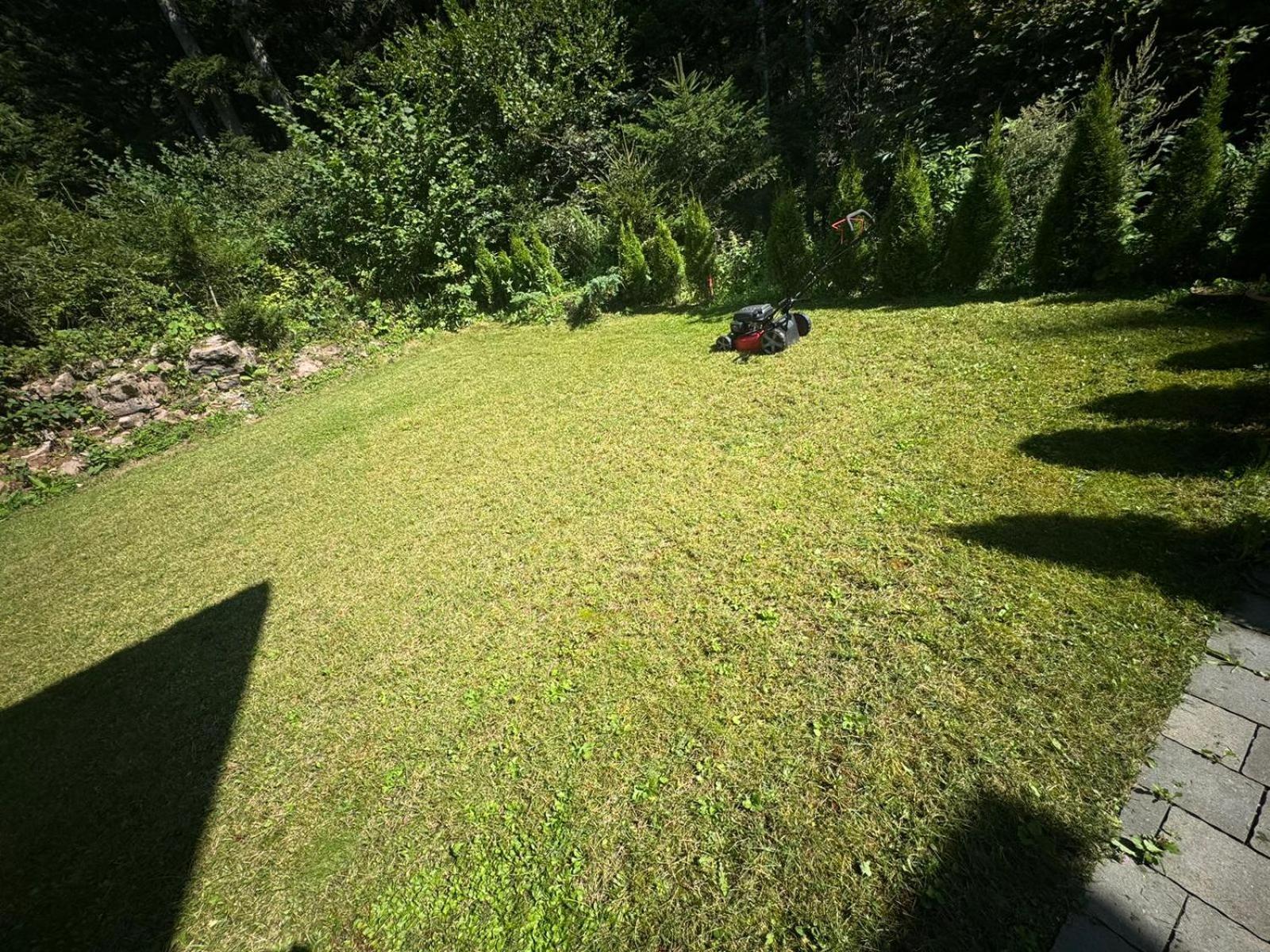 Chalet Relax Molveno E Andalo Dolomiti Villa Екстериор снимка